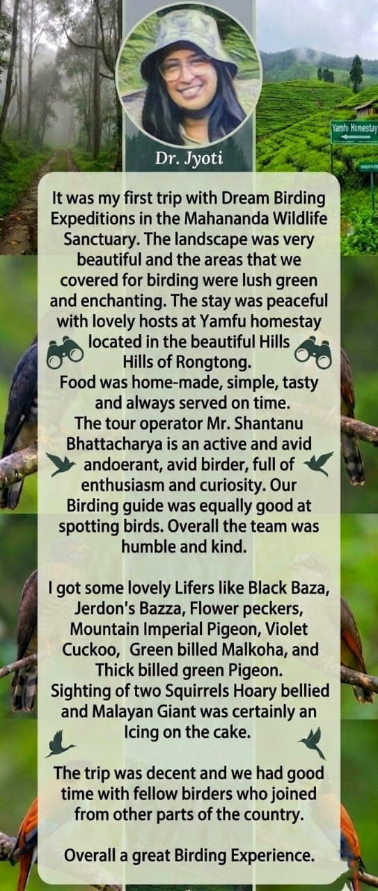 Dream Birding Expeditions review 1