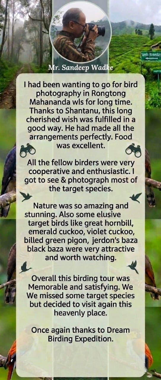 Dream Birding Expeditions review 2