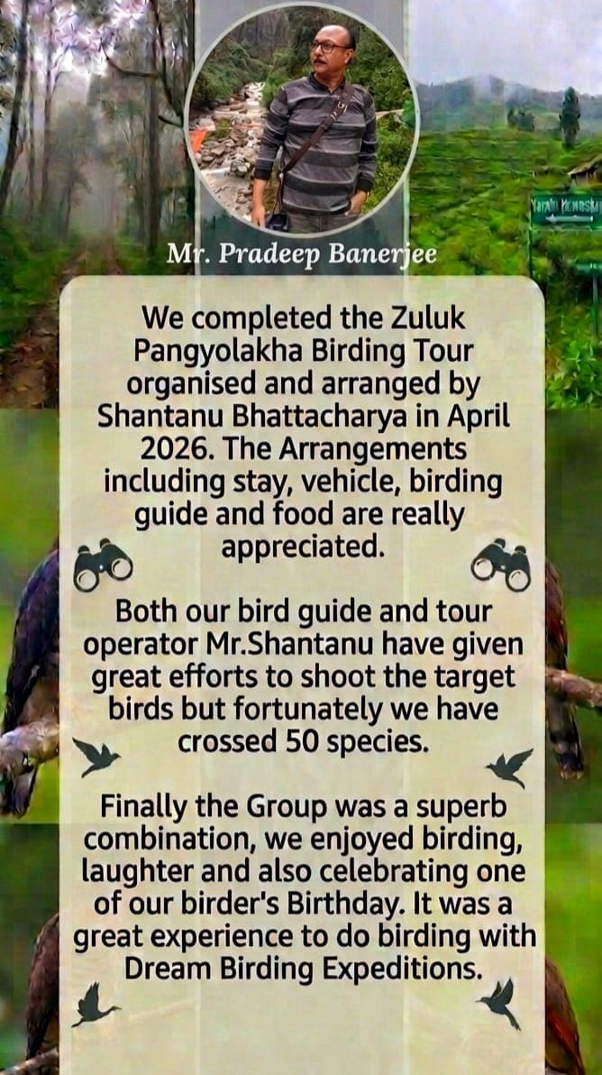 Dream Birding Expeditions review 3