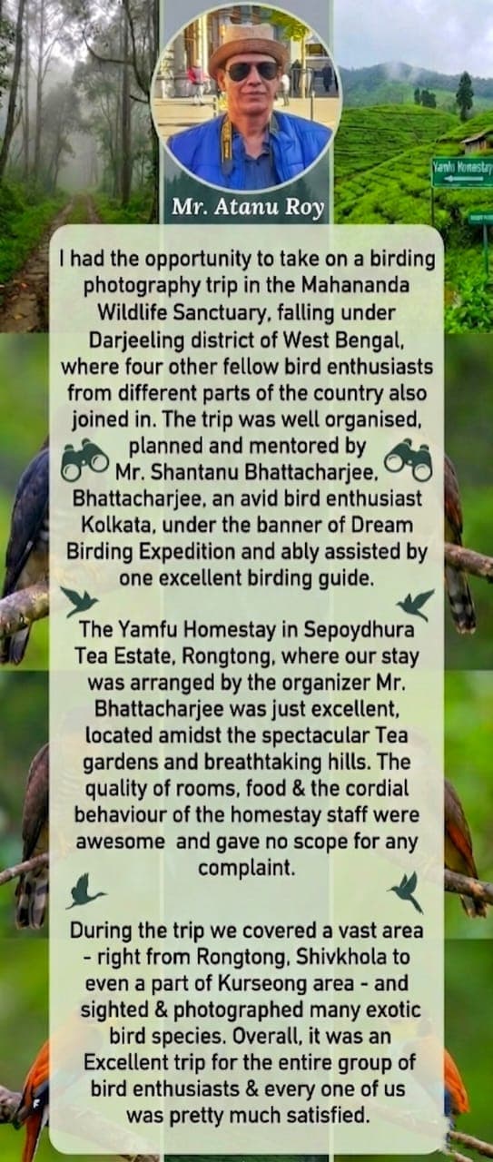 Dream Birding Expeditions review 4