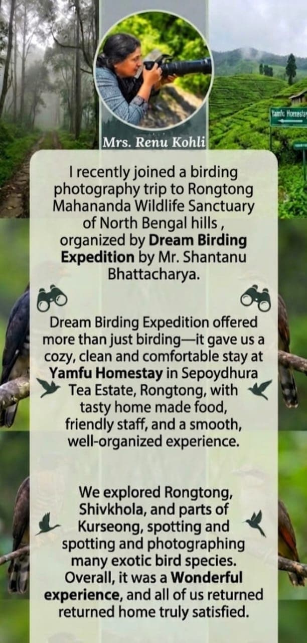 Dream Birding Expeditions review 5