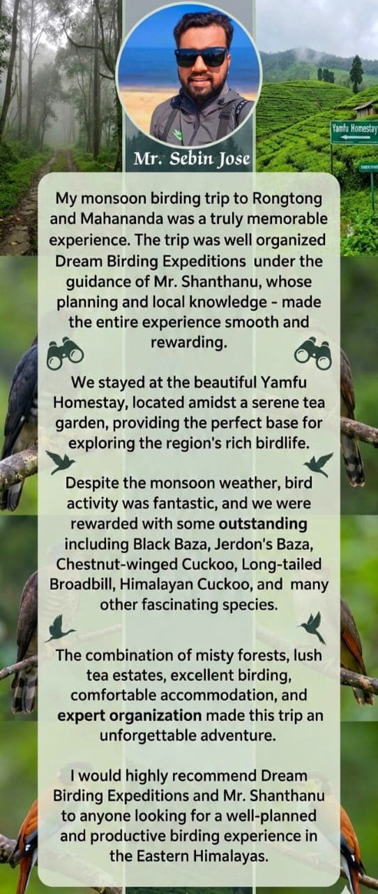 Dream Birding Expeditions review 6